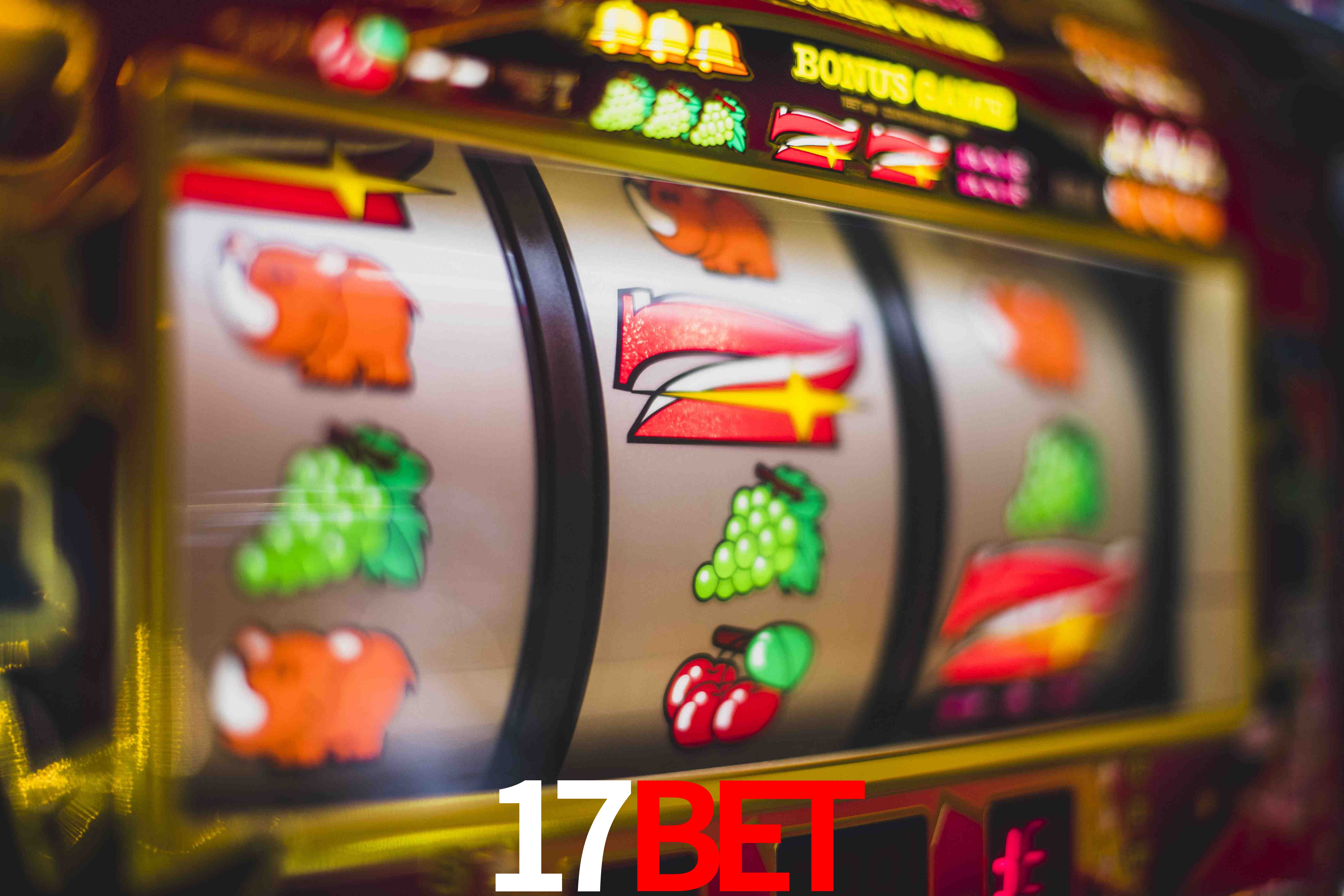 Sports Statistics 17BET